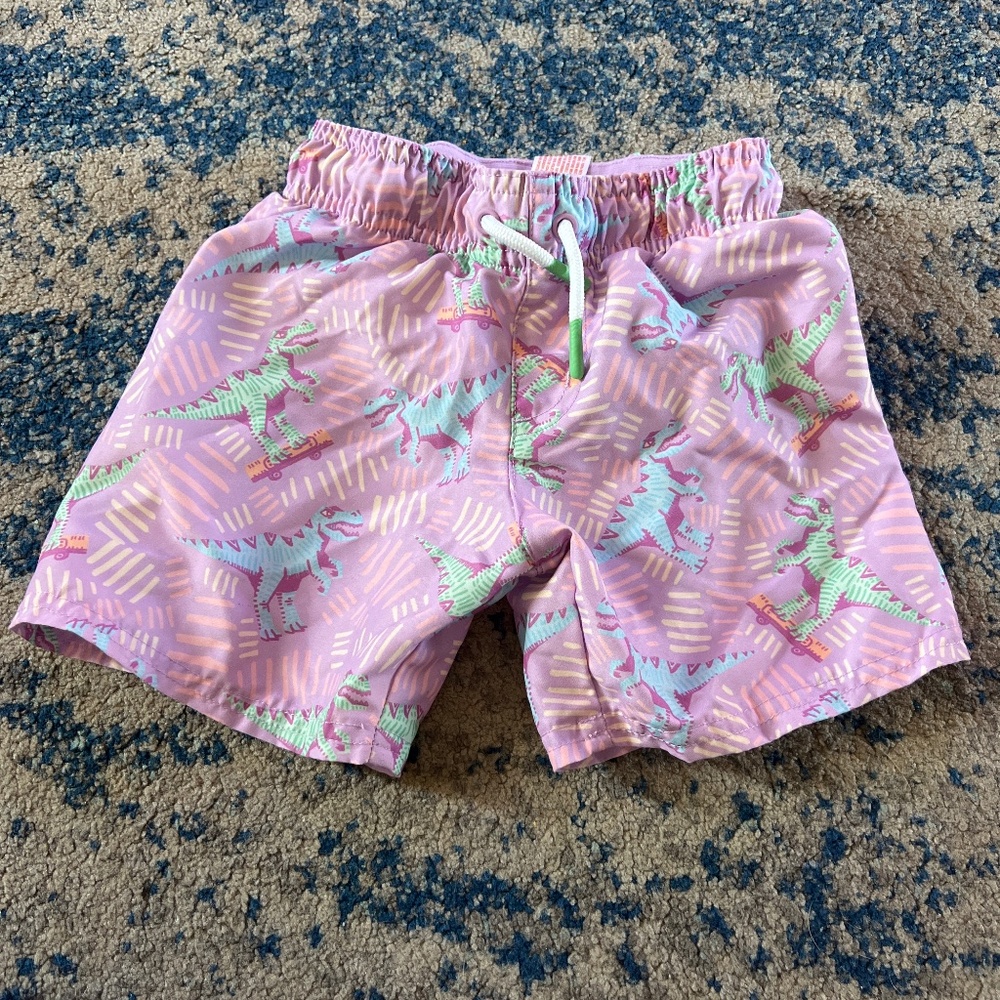 Dinosaur swim shorts